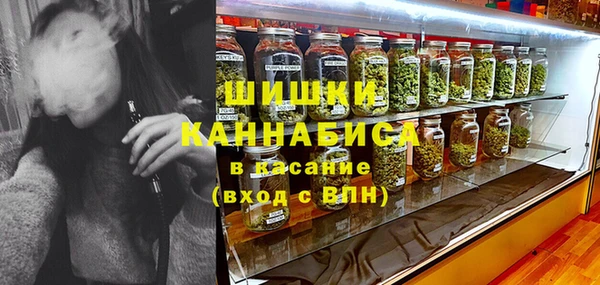 ECSTASY Покачи