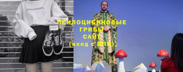 ECSTASY Покачи