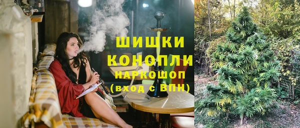 дмт Пестово