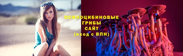 мдпв Пересвет