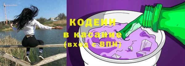 дмт Пестово