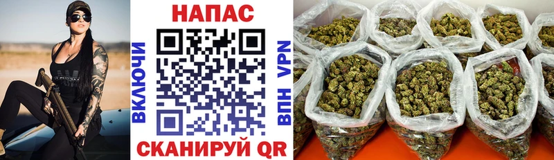 Бошки Шишки MAZAR Фрязино